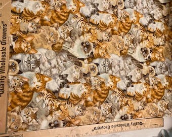 Kitten fabric, Packed Kittens, Petpourri fabric, adorable kittens, Cat fabric,  100% cotton quilting, sewing animal pet fabric