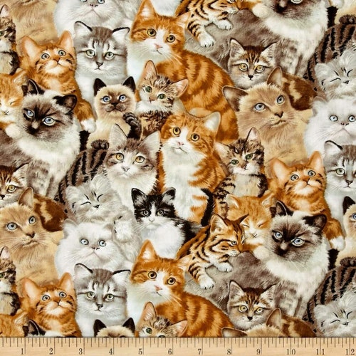 Kitten Fabric Packed Kittens Petpourri Fabric Adorable - Etsy