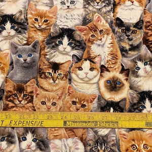 Kitten fabric, Packed Kittens , adorable kittens, Cat fabric, Kitten Fabric, cotton quilting fabric, sewing animal pet fabric image 5