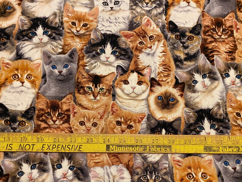 Kitten fabric, Packed Kittens , adorable kittens, Cat fabric, Kitten Fabric, cotton quilting fabric, sewing animal pet fabric image 5