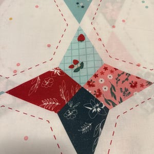 Wide back fabric, Riley Blake Fabric, quilt backing, Berry Market Star, 107/108 Wide Back, Star Multi, floral quilt backing, WB15748 image 2