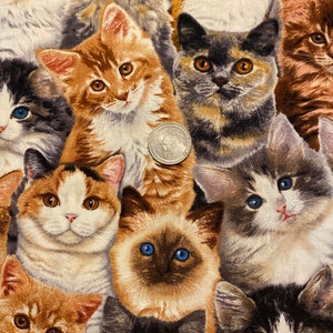 Kitten fabric, Packed Kittens , adorable kittens, Cat fabric, Kitten Fabric, cotton quilting fabric, sewing animal pet fabric image 7