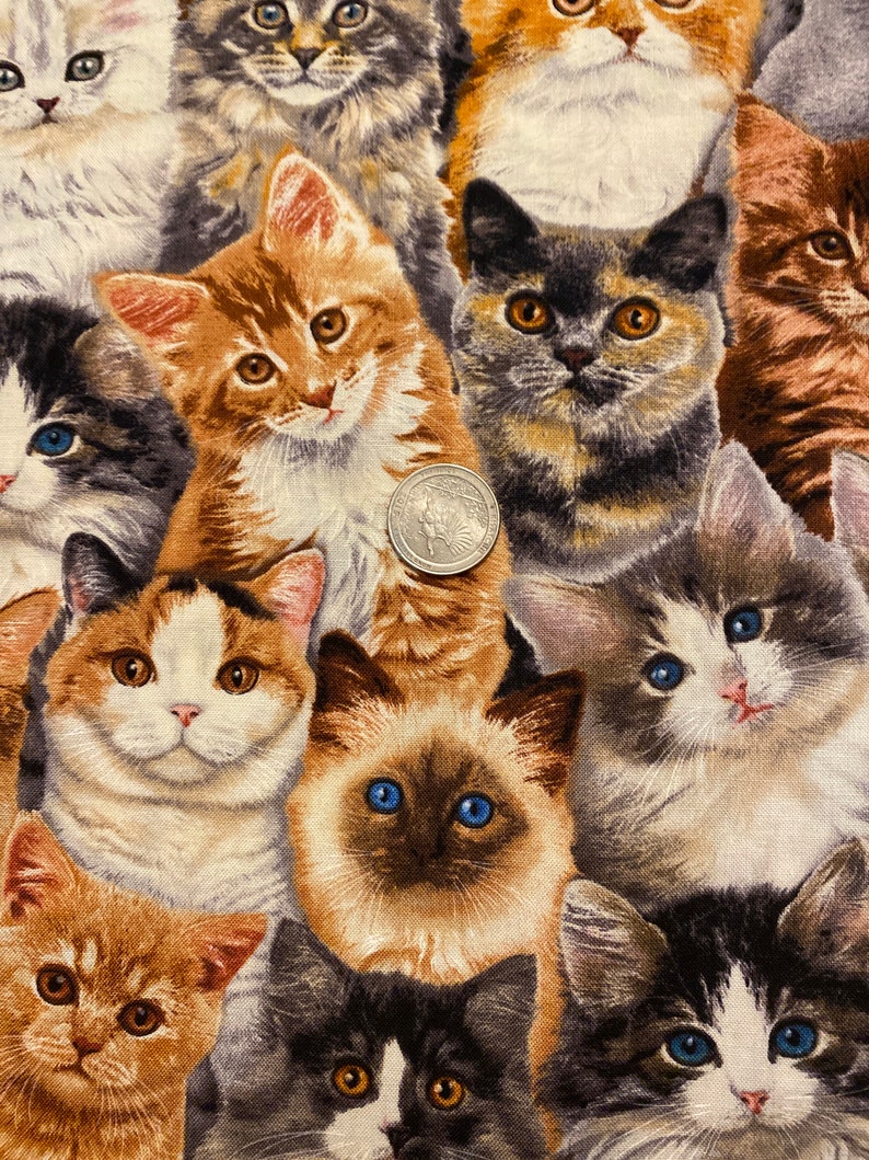 Kitten fabric, Packed Kittens , adorable kittens, Cat fabric, Kitten Fabric, cotton quilting fabric, sewing animal pet fabric image 7