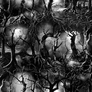 May include: A black and white digital art print featuring a spooky forest scene. The image shows gnarled, bare trees with exposed roots, silhouetted against a cloudy sky with multiple moons. The overall theme is dark and gothic.