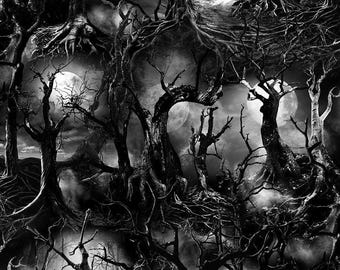Halloween fabric, Timeless Treasures, CD 2763 SPOOKY, Creeped Dead Trees, Wicked Dead Trees, black gray Halloween, Moon Lit Trees, Full Moon