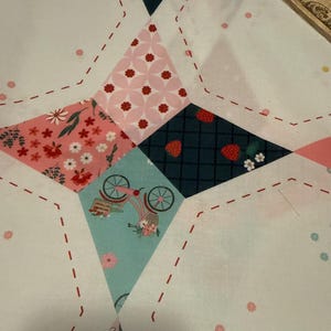 Wide back fabric, Riley Blake Fabric, quilt backing, Berry Market Star, 107/108 Wide Back, Star Multi, floral quilt backing, WB15748 image 6