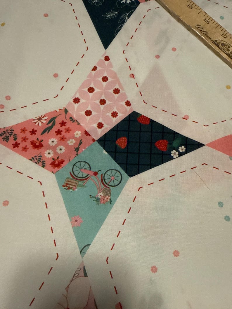 Wide back fabric, Riley Blake Fabric, quilt backing, Berry Market Star, 107/108 Wide Back, Star Multi, floral quilt backing, WB15748 image 6