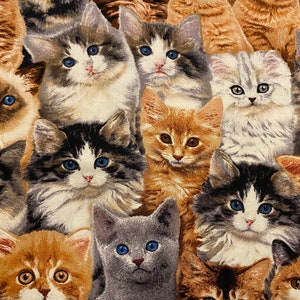 Kitten fabric, Packed Kittens , adorable kittens, Cat fabric, Kitten Fabric, cotton quilting fabric, sewing animal pet fabric image 4
