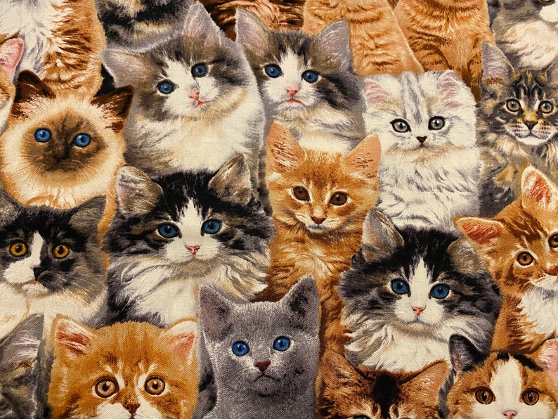 Kitten fabric, Packed Kittens , adorable kittens, Cat fabric, Kitten Fabric, cotton quilting fabric, sewing animal pet fabric image 4