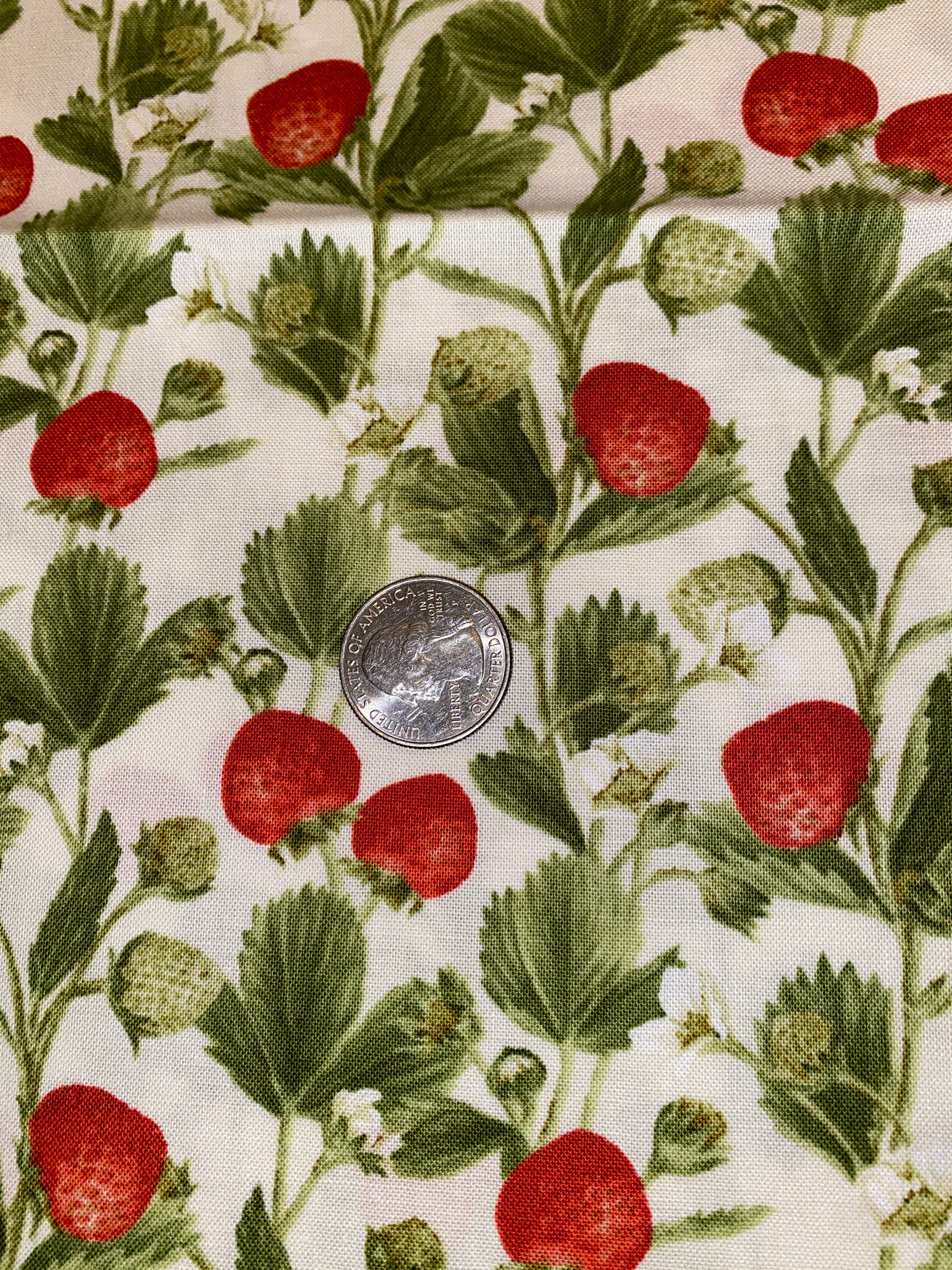 Strawberry Fabric Watercolor Wild Strawberries, Fruit, Berry. Quilting  Cotton, Sateen, Organic Knit, Jersey or Minky Fabric by the Yard 