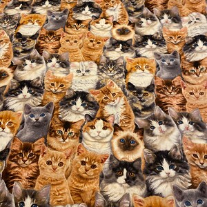 Kitten fabric, Packed Kittens , adorable kittens, Cat fabric, Kitten Fabric, cotton quilting fabric, sewing animal pet fabric image 8