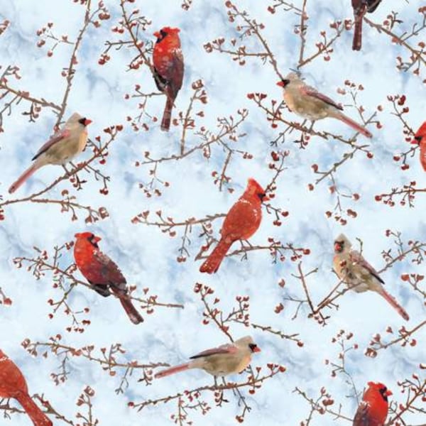 Winter birds, Cardinals winter birds, tree and birds, birds forest snow, Timeless Treasures, birds on snowy branches, CD1217 blue,