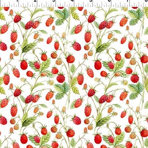 Strawberry fabric, Hedgehog Hollow, In The Beginning Fabric, 8 HH 1, white Strawberries, strawberry vines,