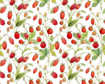 Strawberry fabric, Hedgehog Hollow, In The Beginning Fabric, 8 HH 1, white Strawberries, strawberry vines,