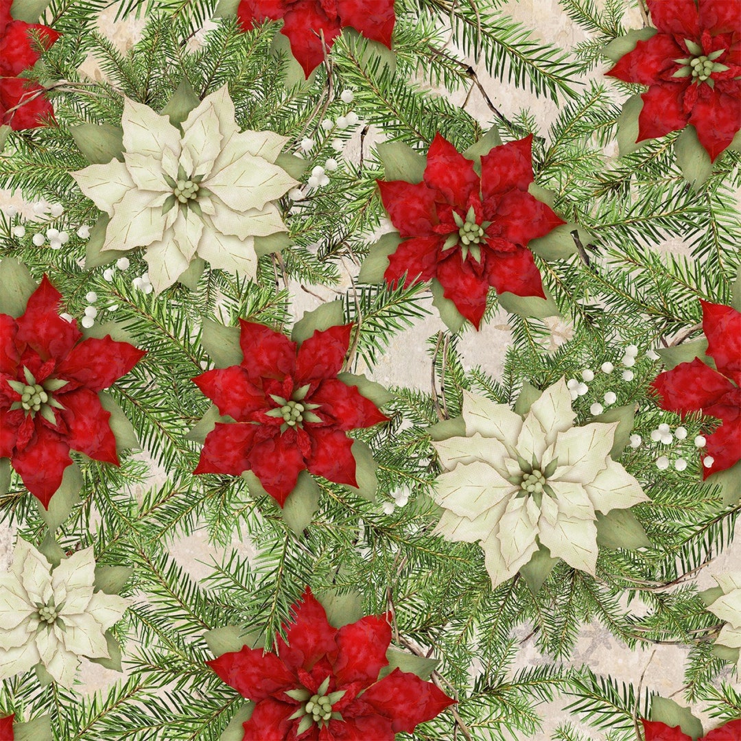 Poinsettia Red Green, Christmas Floral, French Countryside Christmas