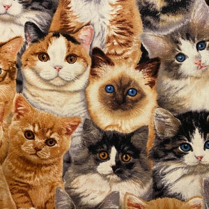 Kitten fabric, Packed Kittens , adorable kittens, Cat fabric, Kitten Fabric, cotton quilting fabric, sewing animal pet fabric image 3