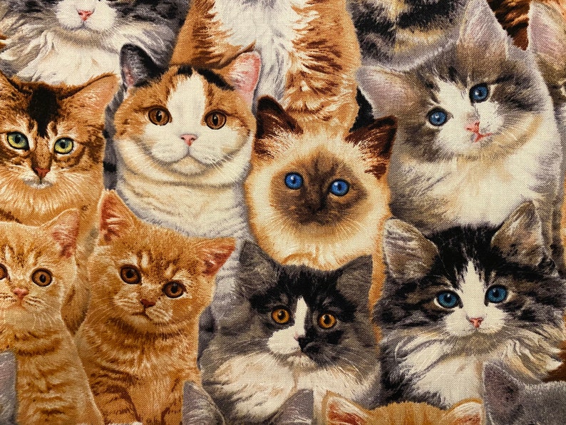 Kitten fabric, Packed Kittens , adorable kittens, Cat fabric, Kitten Fabric, cotton quilting fabric, sewing animal pet fabric image 3