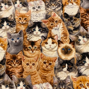 Kitten fabric, Packed Kittens , adorable kittens, Cat fabric, Kitten Fabric, cotton quilting fabric, sewing animal pet fabric image 1