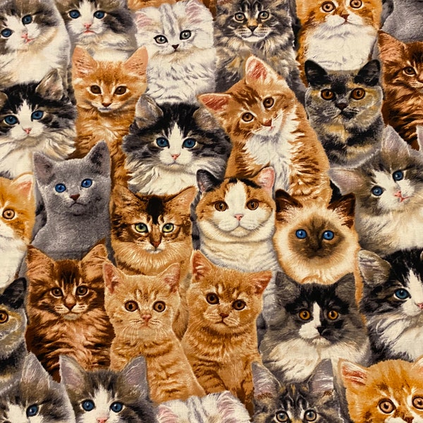 Kitten fabric, Packed Kittens ,  adorable kittens, Cat fabric,  Kitten Fabric, cotton quilting fabric, sewing animal pet fabric