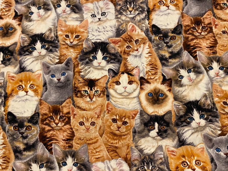 Kitten fabric, Packed Kittens , adorable kittens, Cat fabric, Kitten Fabric, cotton quilting fabric, sewing animal pet fabric image 1