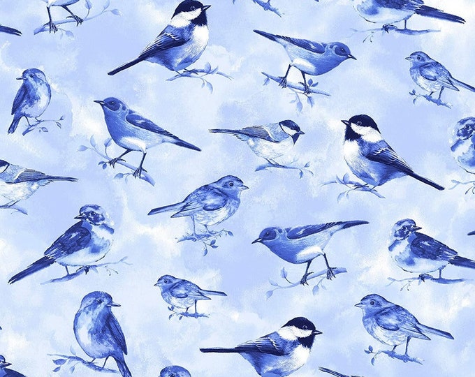 Bird Fabric, Blue Bird Fabric, Timeless Treasures, Cotton Quilting