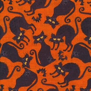Halloween cat fabric, Orange black cats, black cats, 3 Wishes, , Boo Y all fabric, 100 % cotton sewing quilting, Cats and Bats,