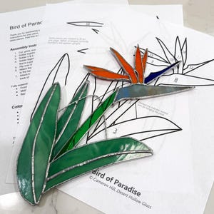 Bird of Paradise - Stained Glass Pattern - Instant Digital Download