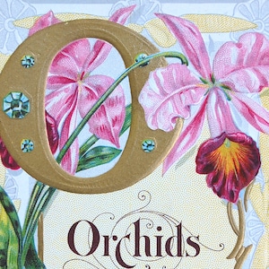 O is for ORCHID - E. Nash Embossed, Vergoldete Postkarte - Nash Alphabet Floral Series - ca. 1900er Jahre - Atemberaubende, UNBENUSTE Postkarte mit Poesie