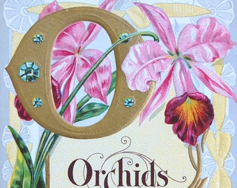 O is for ORCHID - E. Nash Embossed, Gilt Postcard - Nash Alphabet Floral Series - c. 1900s - Stunning, UNUSED Postcard with Poetry