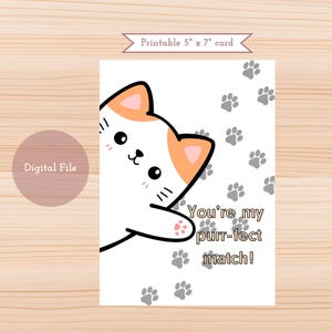 Valentine's Day-Anniversary-Romantic-Cat Lovers Card