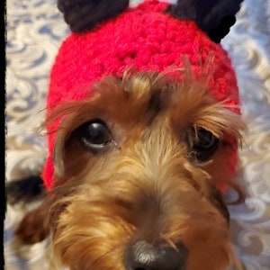 Devil Dog Hood Crochet Pattern - PDF INSTANT Download