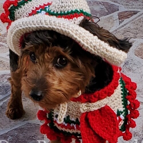 Instant Download Crochet Pattern Dog Sombrero and Poncho Set Etsy