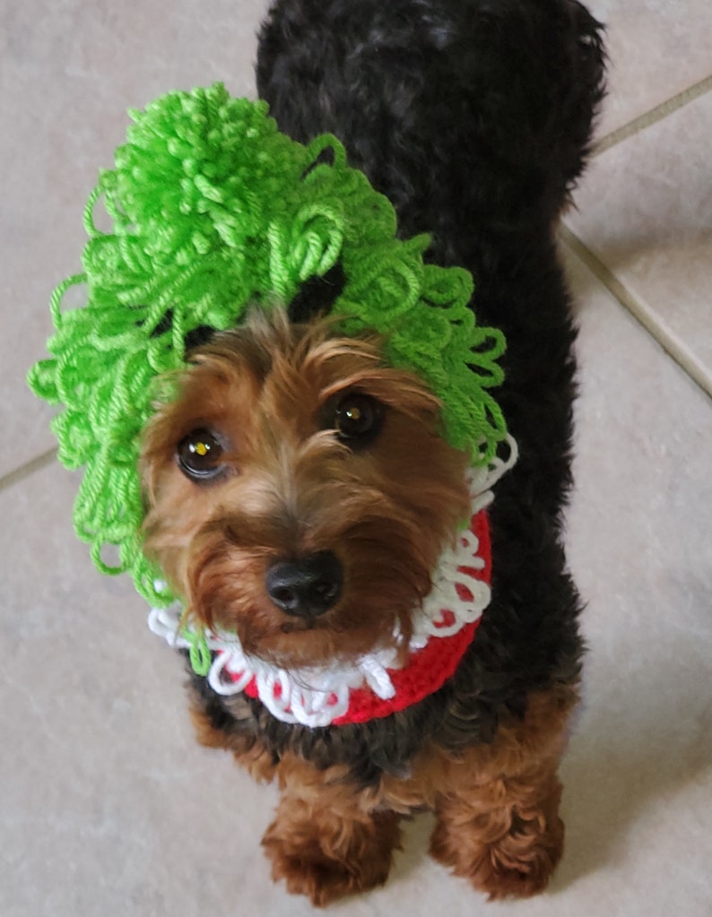 Grinch Inspired Dog Hood Crochet Pattern PDF Etsy
