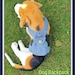 see more listings in the Pets - Dog clothing section