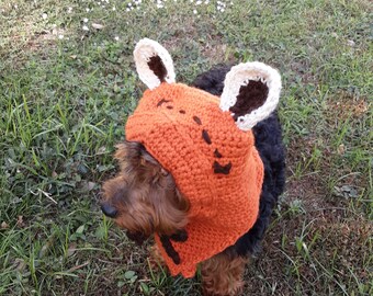 ewok dog sweater
