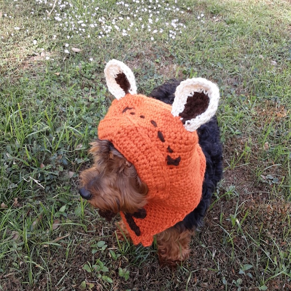 Dwok Dog Hat Crochet Pattern Only - PDF