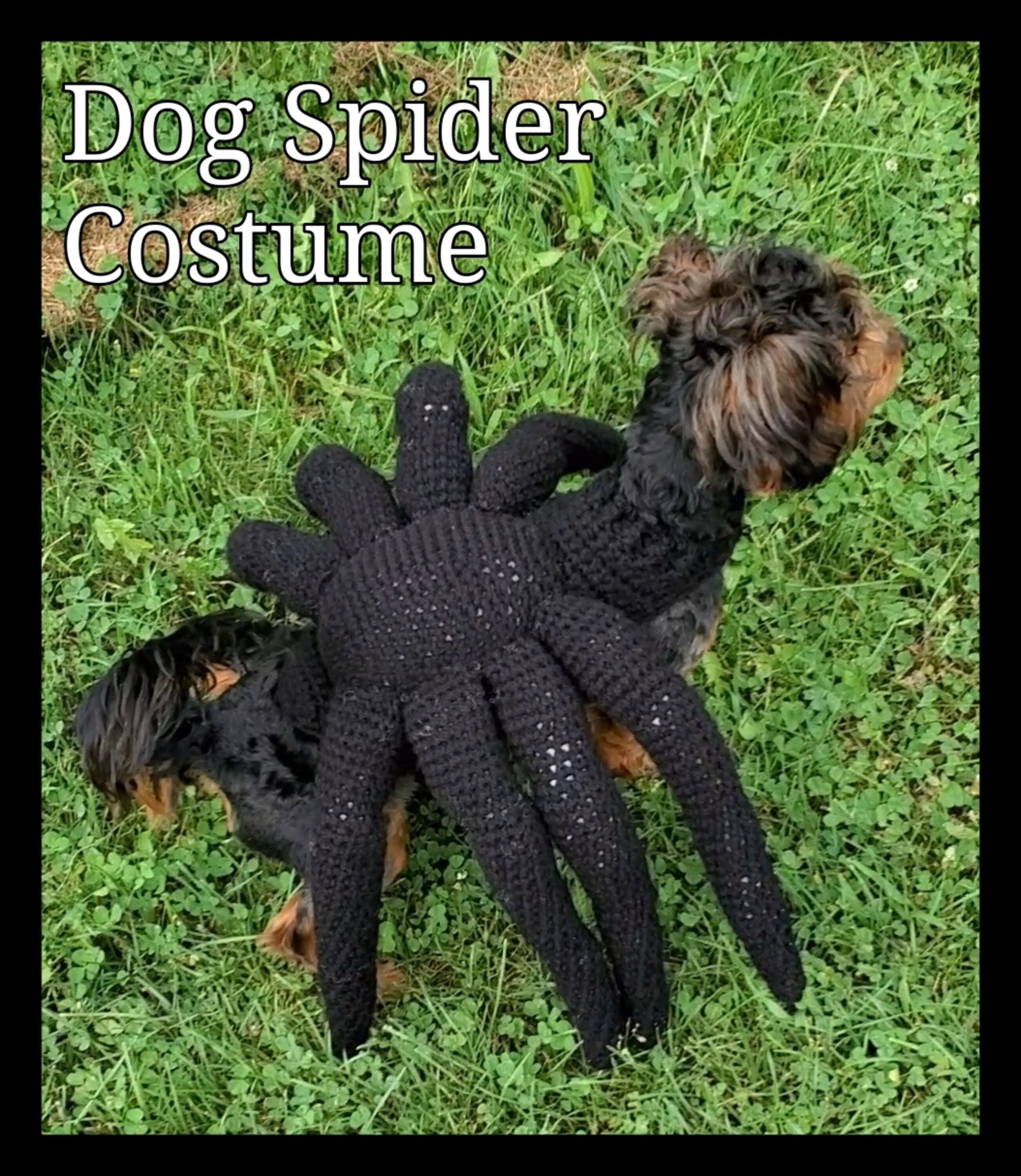 Bubble Spider Costume for Kids