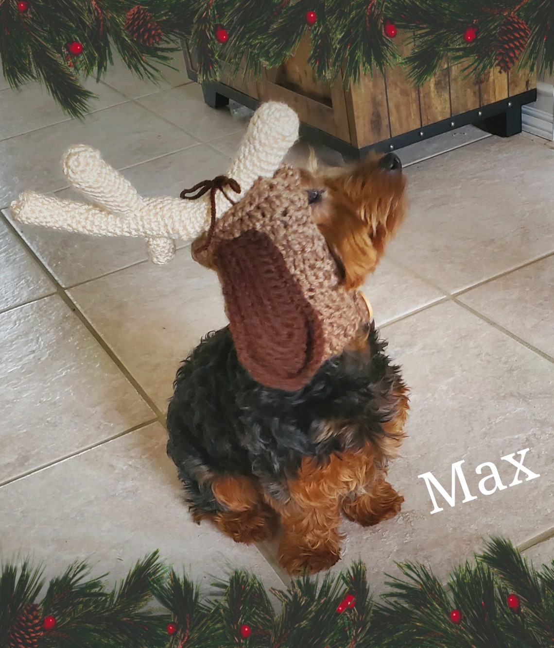Grinch Inspired Max Dog Hood Crochet Pattern PDF Etsy