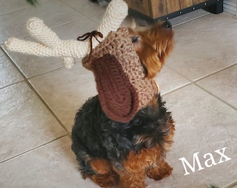 Grinch Inspired Max Dog Hood Crochet Pattern - PDF