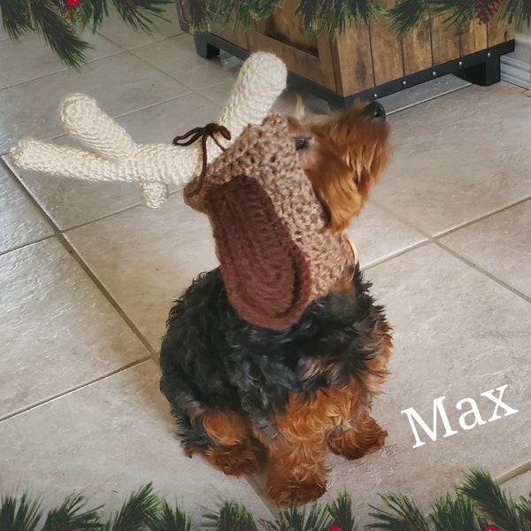 Grinch Inspired Max Dog Hood Crochet Pattern - PDF