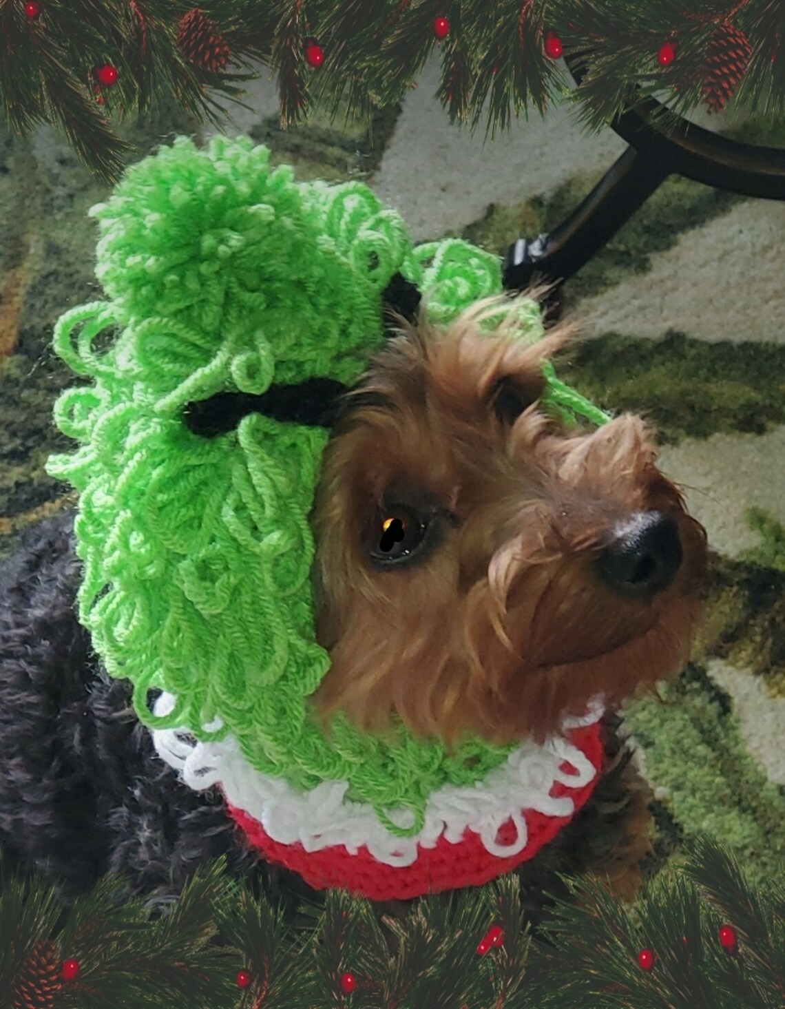 Grinch Inspired Dog Hood Crochet Pattern PDF Etsy