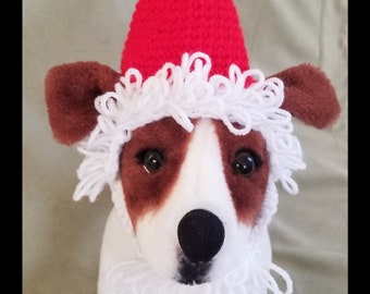 Bearded Santa Dog Hat