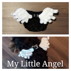 Pode incluir: Um pequeno cão preto e branco vestindo um suéter de tricô preto com asas de anjo de crochê branco. O cão está deitado em um chão de madeira. O texto "My Little Angel" está escrito abaixo do cão.