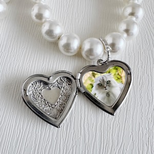 Puede incluir: Un relicario plateado en forma de corazón, abierto para mostrar una foto de gato, colgado de un collar de perlas. El relicario presenta un diseño floral y una pequeña forma de corazón en el interior. Las perlas son blancas.