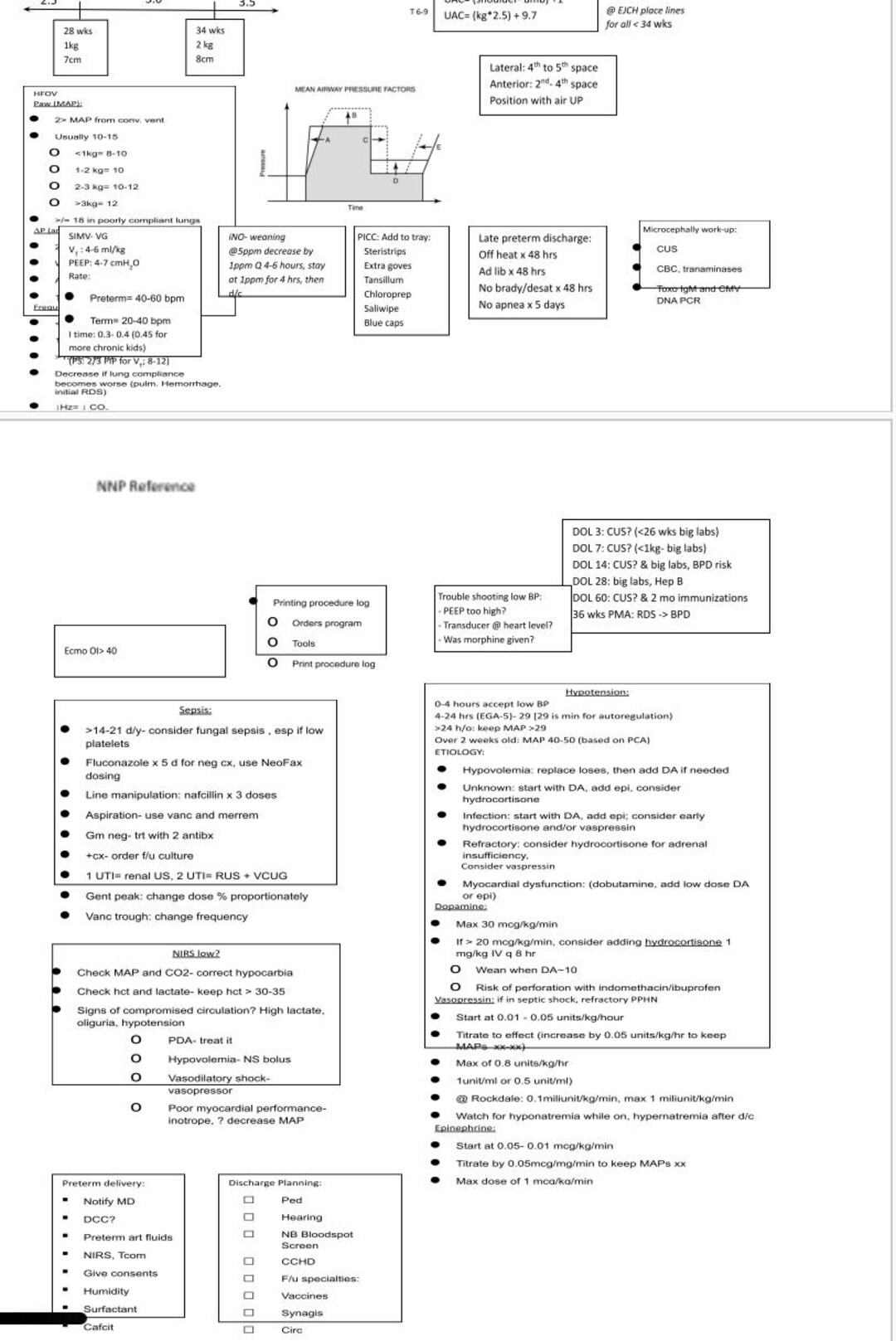 NNP Students Quick Reference Sheet - Etsy