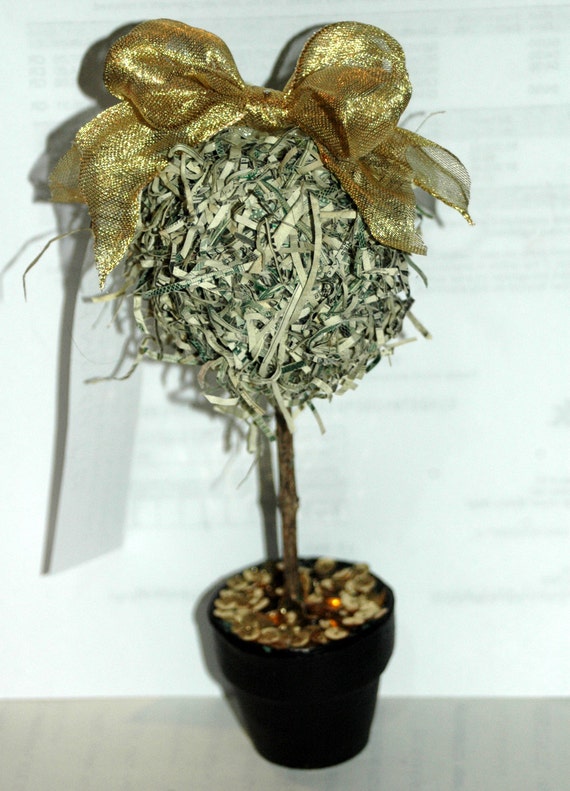 lady palm indoor plant Lady Palm, Rhapis Excelsa, Indoor Queen Palm main image 0