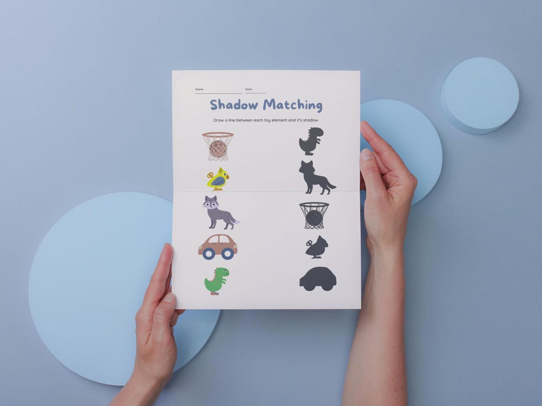 Shadow Matching Activity Worksheet - Etsy