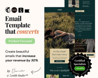 Klaviyo Email Marketing Template Flodesk Newsletter Mailchimp Email Omnisend Marketing Editable Canva Women Clothing Small Business Boutique