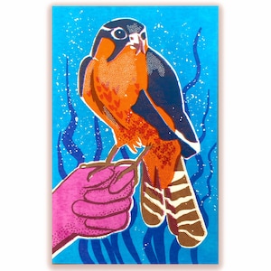 Könnte beinhalten: Illustration eines Vogels mit orangefarbenem und blauem Gefieder, der auf einer rosa Hand sitzt. Der Vogel hat braun-weiß gestreifte Schwanzfedern. Der Hintergrund ist blau mit wellenförmigen Linien und weißen Tupfen, was ein lebendiges Design ergibt.