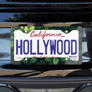 Botanical Leaf License Plate Frame Nature Lovers Gift Aesthetic Green Car Accessory for Plant Lovers & Eco Vibe Style Cottagecore Gift